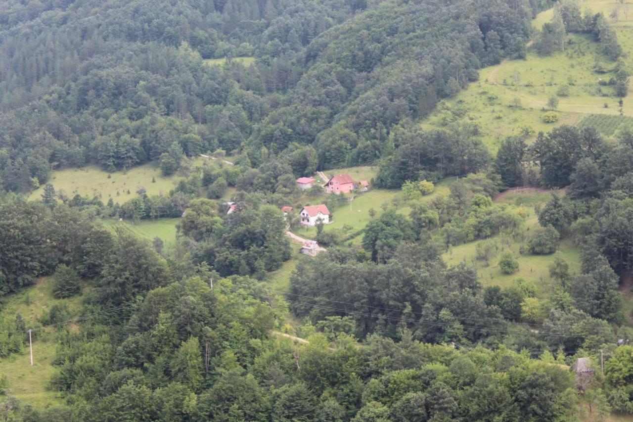 Apartment Sijakovic موكرا غورا المظهر الخارجي الصورة