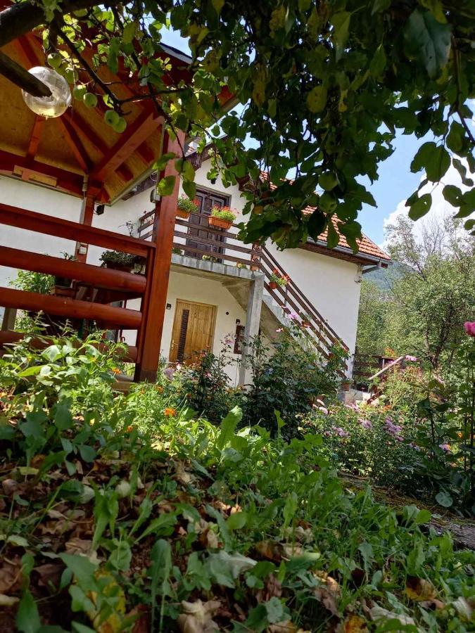 Apartment Sijakovic موكرا غورا المظهر الخارجي الصورة