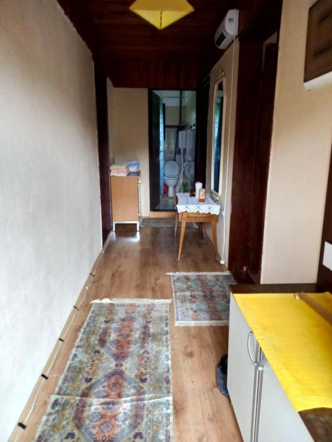 Apartment Sijakovic موكرا غورا المظهر الخارجي الصورة