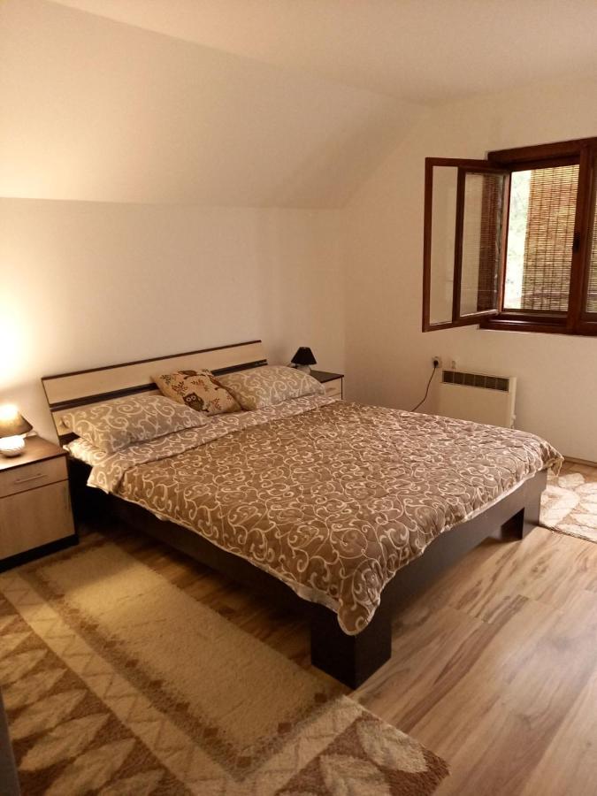 Apartment Sijakovic موكرا غورا المظهر الخارجي الصورة