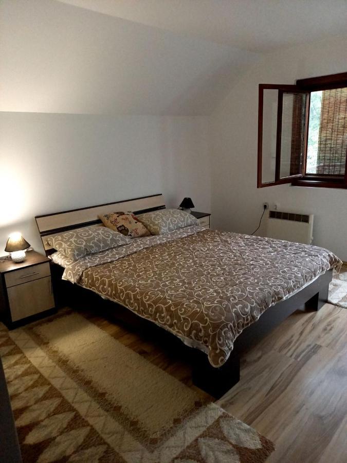 Apartment Sijakovic موكرا غورا المظهر الخارجي الصورة