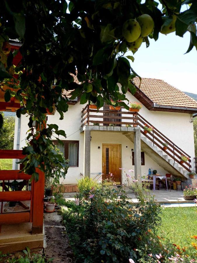 Apartment Sijakovic موكرا غورا المظهر الخارجي الصورة