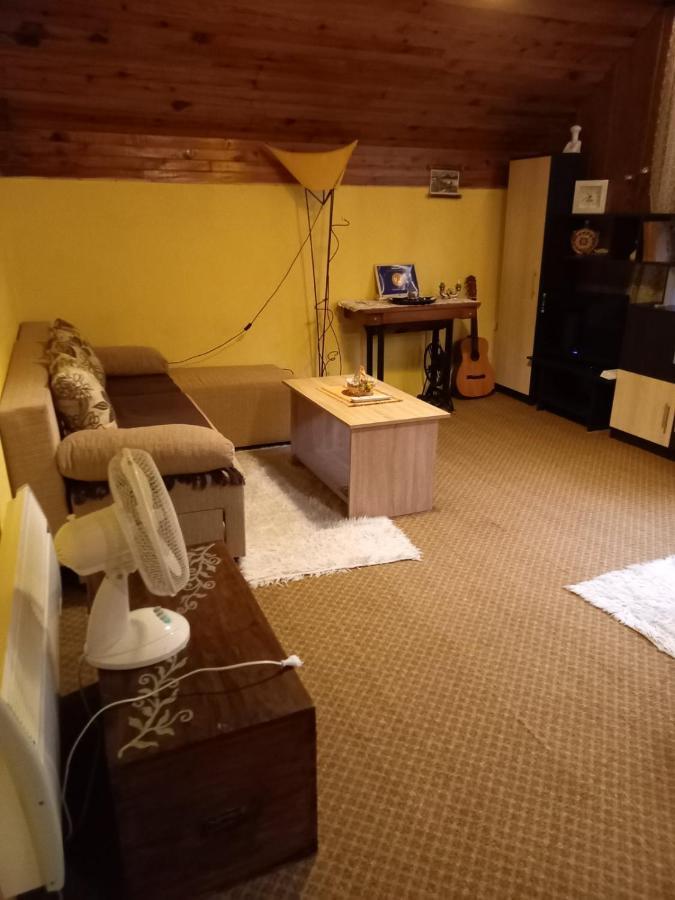 Apartment Sijakovic موكرا غورا المظهر الخارجي الصورة